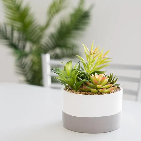 Lejlighed Guestready - Aveiro's Hidden Gem