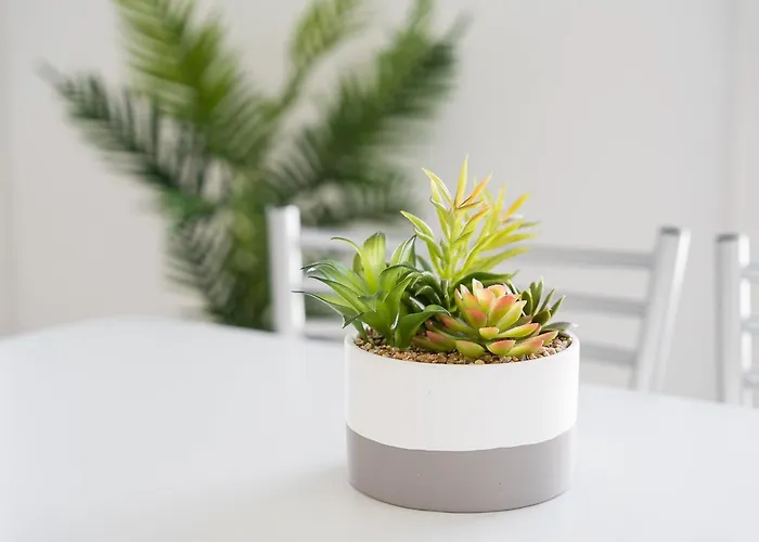 Apartament Guestready - Aveiro's Hidden Gem